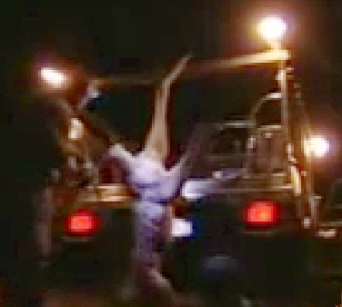 Kangaroos - Killed in trucks and storage 023