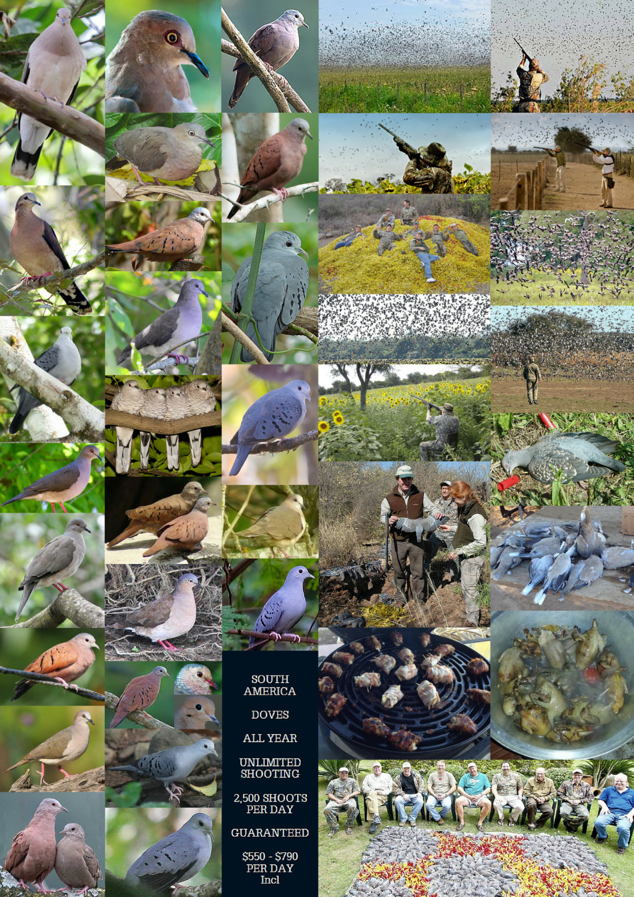 Trophy hunters - Comp Birds 2.png