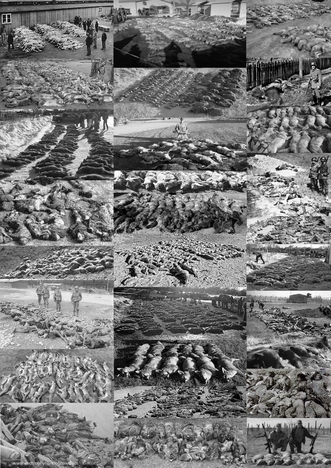 Trophy hunters - Comp Bodies holocaust