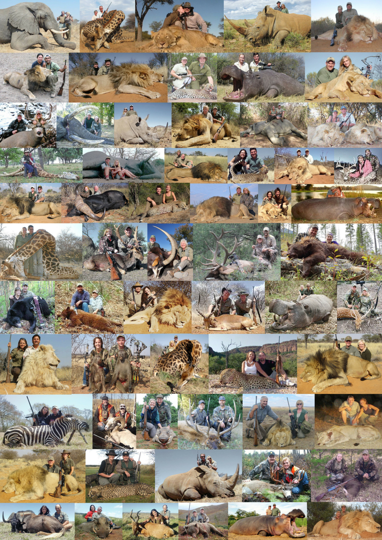 Trophy hunters - Comp Couples USE