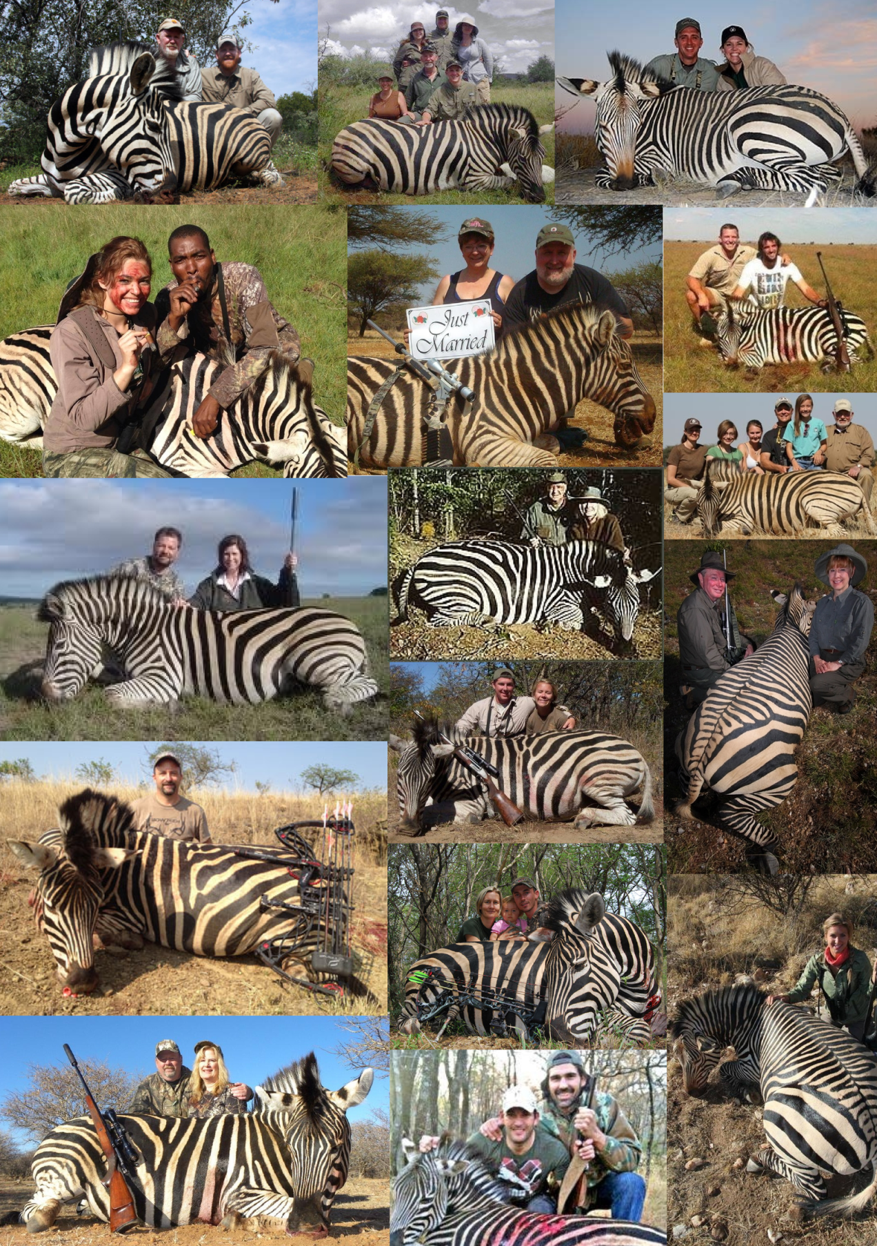 trophy-hunters-comp-zebras