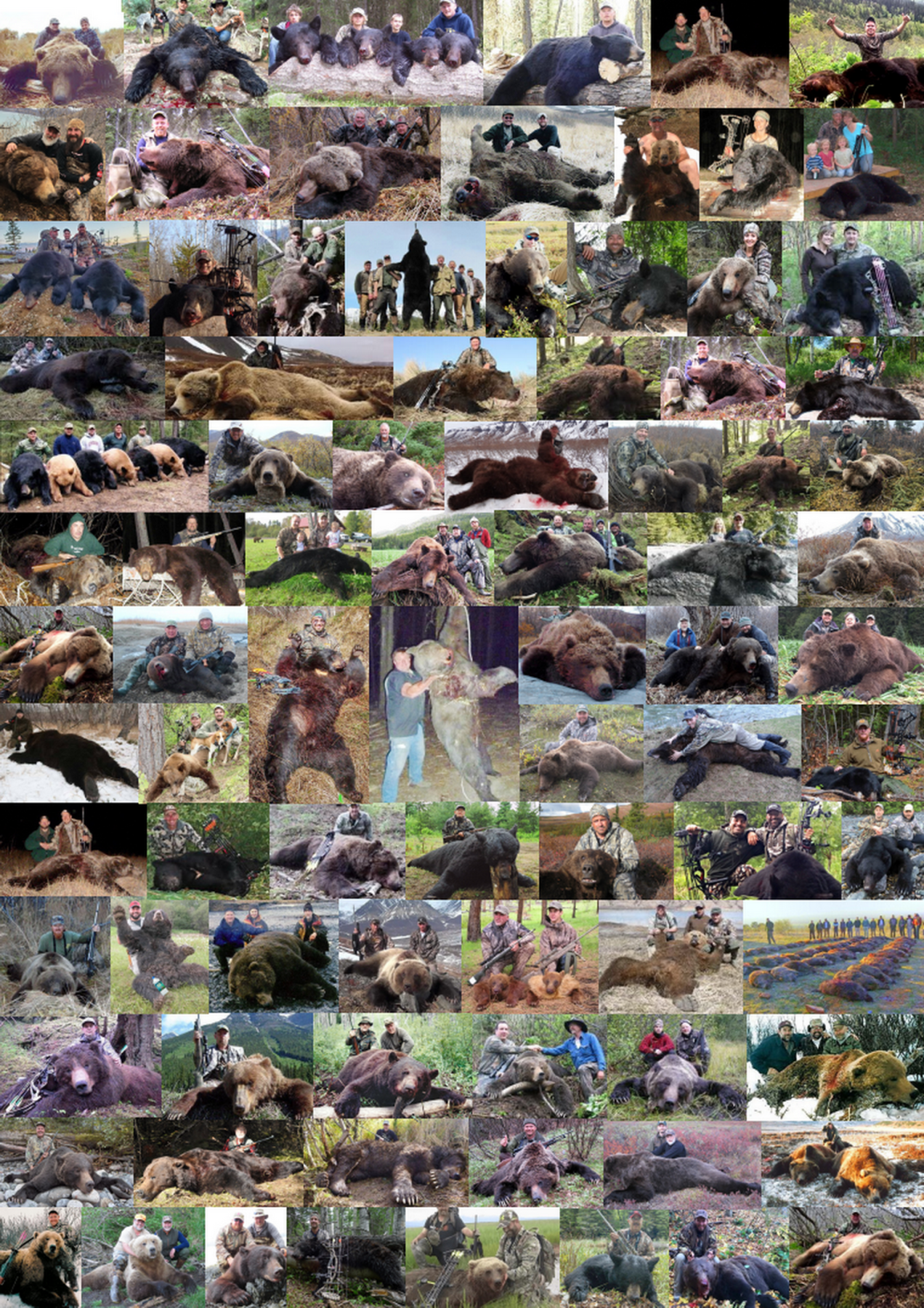 Trophy hunters - Comp Bears USE
